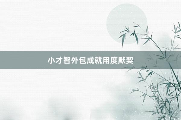 小才智外包成就用度默契