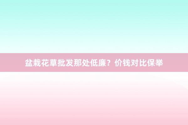 盆栽花草批发那处低廉？价钱对比保举