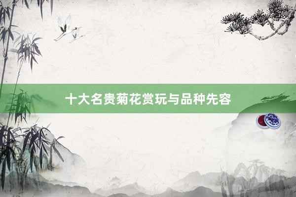十大名贵菊花赏玩与品种先容